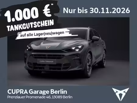 Cupra Terramar VZ
