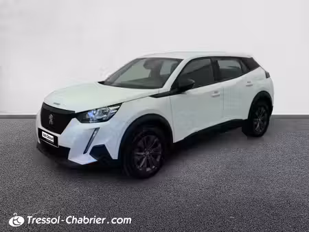 Peugeot 2008 1.5 HDi 110 Active Business