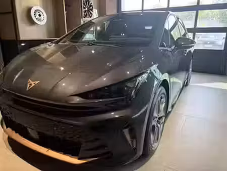 Cupra Born 230