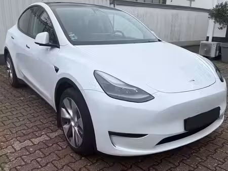 Tesla Model Y Standard 300