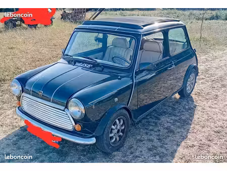 Rover Mini 1.3 53