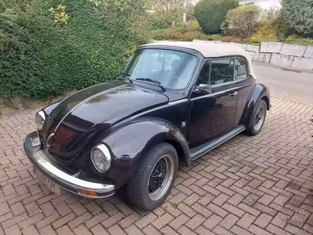 Volkswagen Beetle 1.6