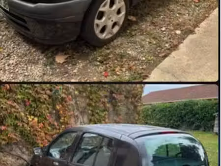 Renault Clio 75