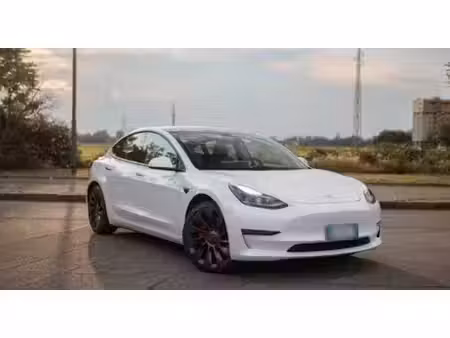 Tesla Model 3 Performance 482 PUP 4x4
