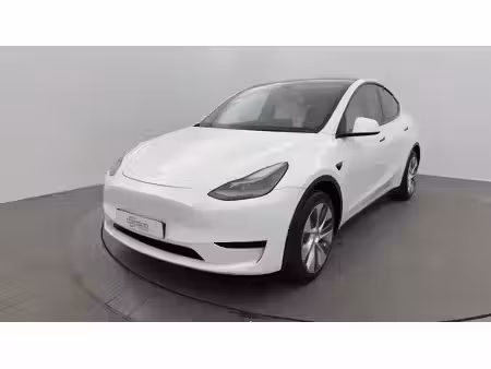 Tesla Model Y Standard 300