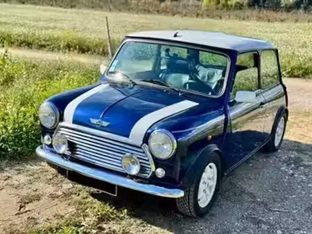 Rover Mini 1.3