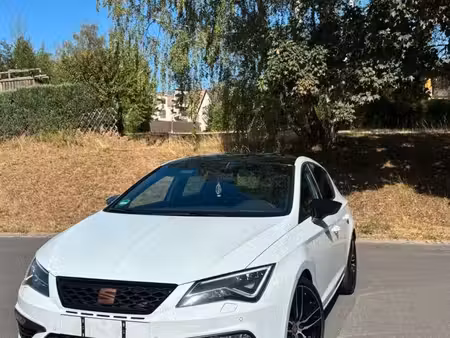 Seat Leon Cupra 290