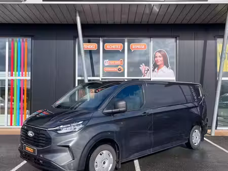 Ford Transit Van 2.0