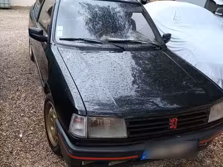 Peugeot 309 