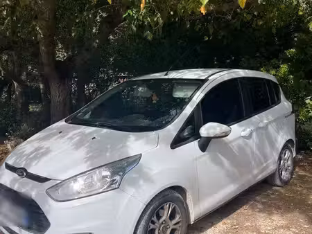Ford B-max