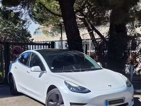 Tesla Model 3 Standard Plus 325