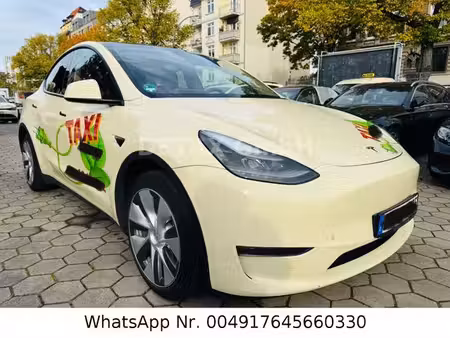 Tesla Model Y Standard 300