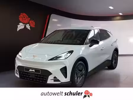 Cupra Raval 135