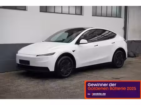 Tesla Model Y Standard 300