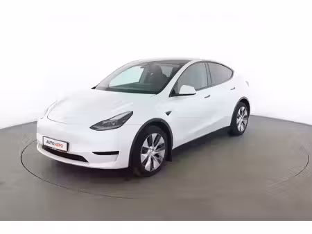 Tesla Model Y Standard 300