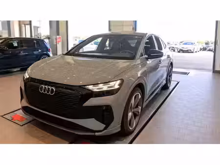 Audi Q4 e-tron 40 204