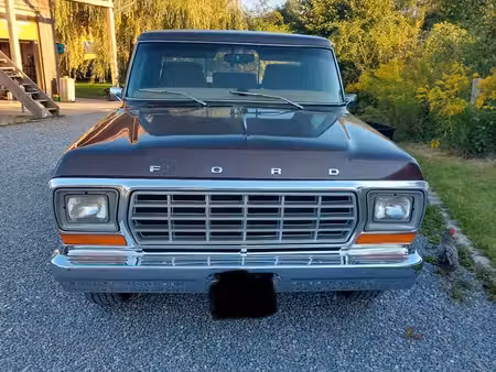 Ford F100 
