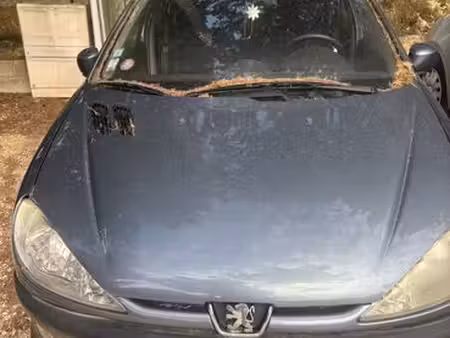Peugeot 206 2.0 90