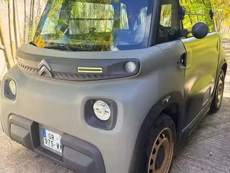 Citroën Ami Buggy 8