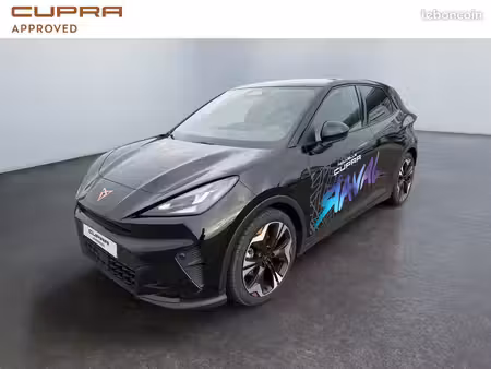Cupra Raval 211