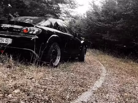 Mazda RX-8 1.3 192