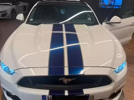 Ford Mustang Fastback V8 5.0 421