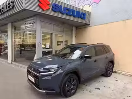 Suzuki Across 2.5 185 Pack 4x4
