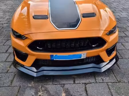 Ford Mustang Mach 1 2.3 EcoBoost 317