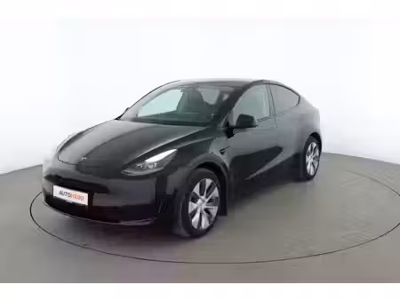 Tesla Model Y Standard