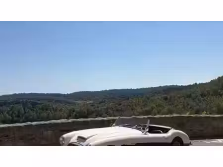 Austin-Healey 100 2.6