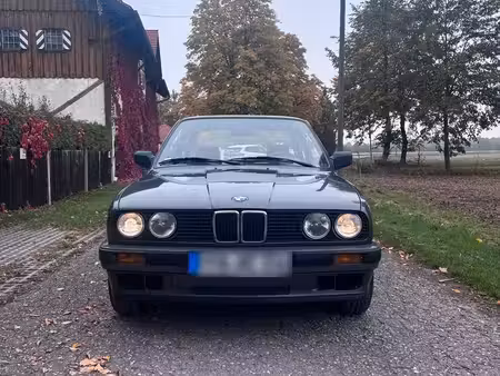 BMW Série 3 316i