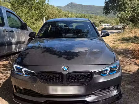 BMW Série 3 316d 2.0 116
