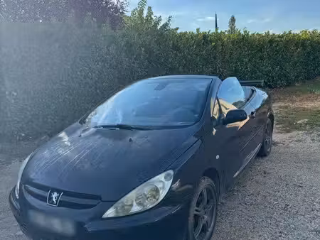 Peugeot 307 CC 2.0 138