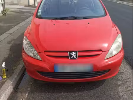 Peugeot 307 2.0 138