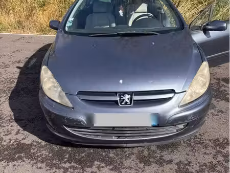 Peugeot 307 CC 2.0 138