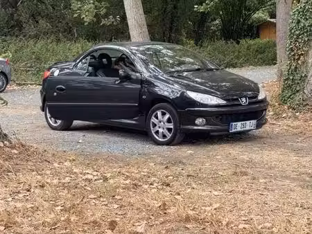 Peugeot 206 CC 1.6 110