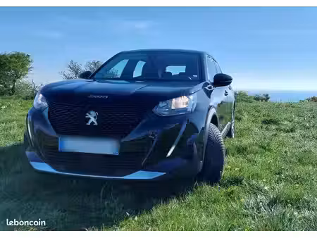 Peugeot 2008 136 Active