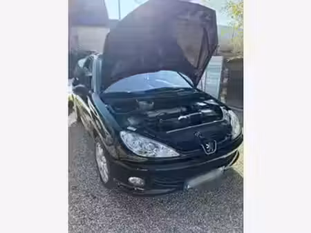 Peugeot 206 S16 2.0