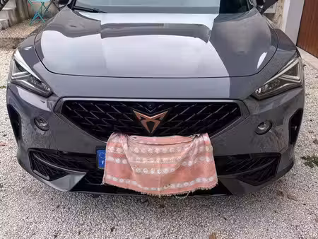 Cupra Formentor VZ 2.0 TSI 245