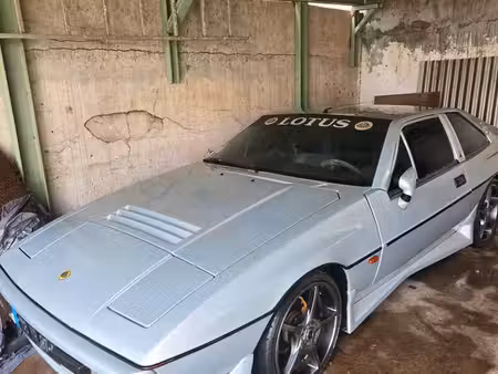 Lotus Excel 