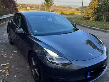 Tesla Model 3 Grande Autonomie 462 4x4