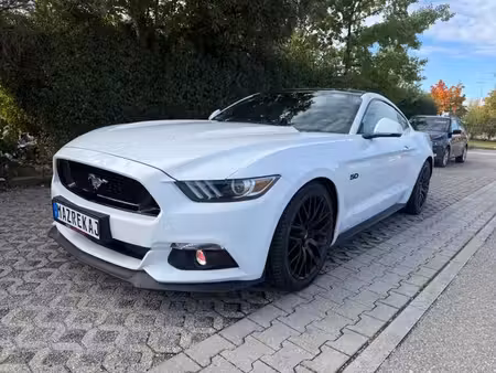 Ford Mustang Fastback V8 5.0 421