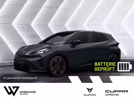 Cupra Raval 211