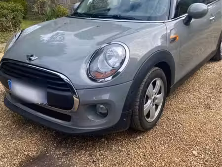 Mini Mini One 102