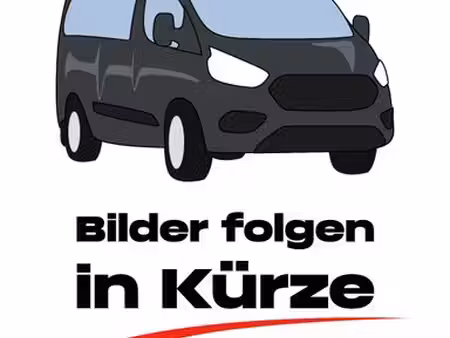 Ford Transit 2.0 170 Trend