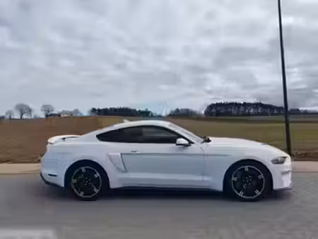 Ford Mustang Fastback V8 5.0