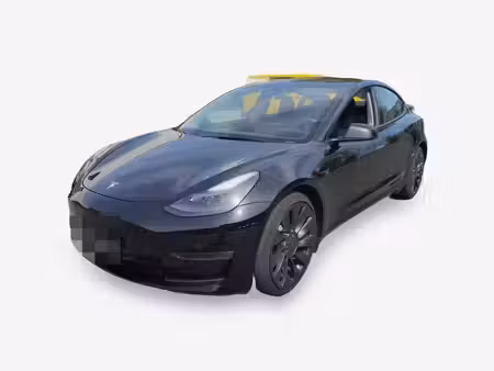 Tesla Model 3 Performance 482 PUP 4x4