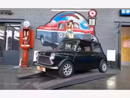 Rover Mini 1.0