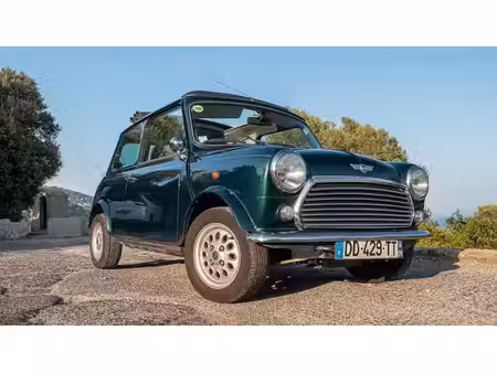 Rover Mini 1.3
