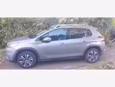 Peugeot 2008 1.2 PureTech 110 Allure